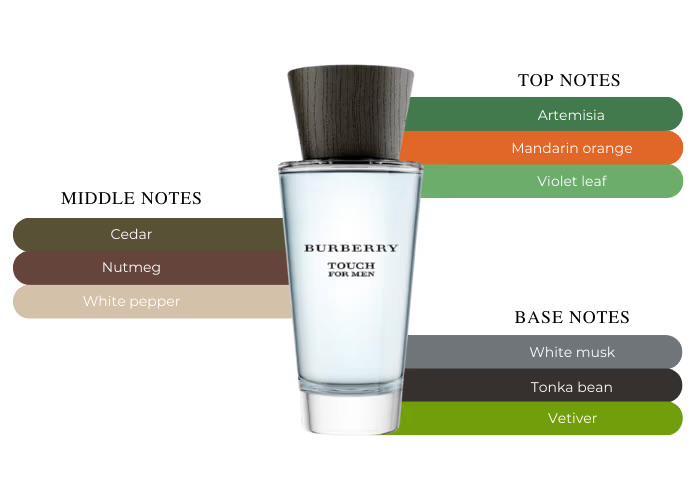 SOTD Burberry Touch for Men