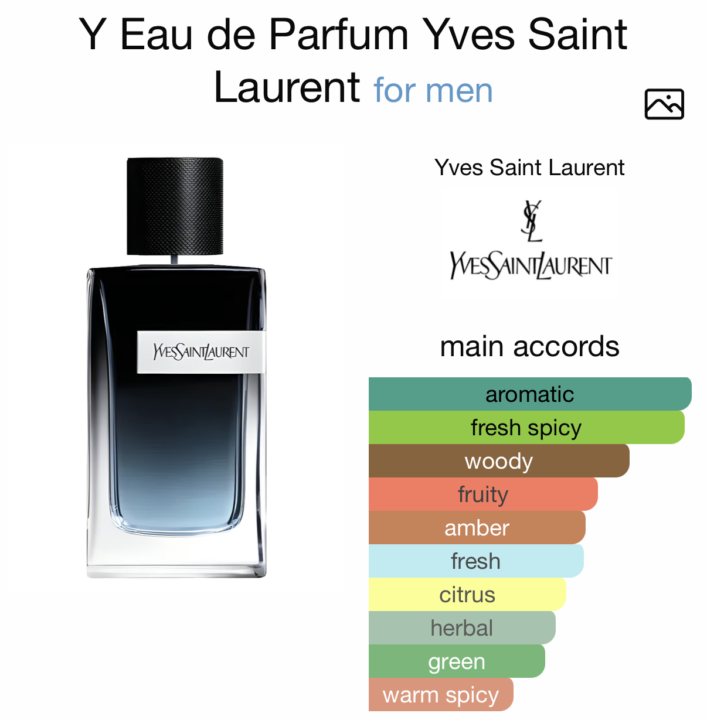 YSL Y 