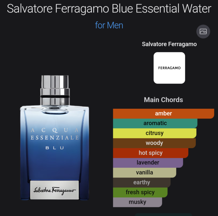 Ferragamo Acqua essenziale blu