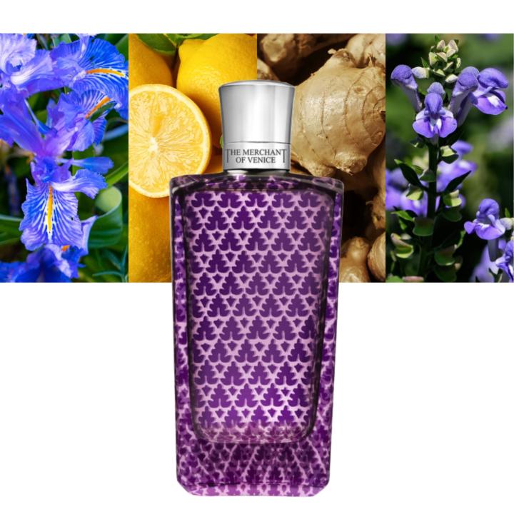 🏛️ The Merchant of Venice – Venetian Luxury Up to 58% Off