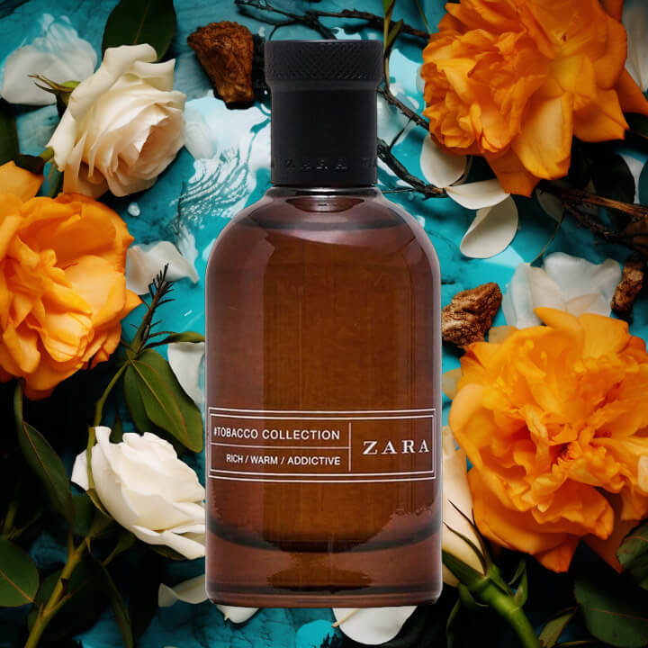 SOTE - Zara Rich Warm Addictive