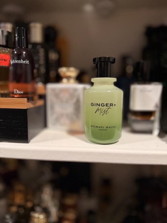 SOTD: Ginger + Mist – Michael Malul