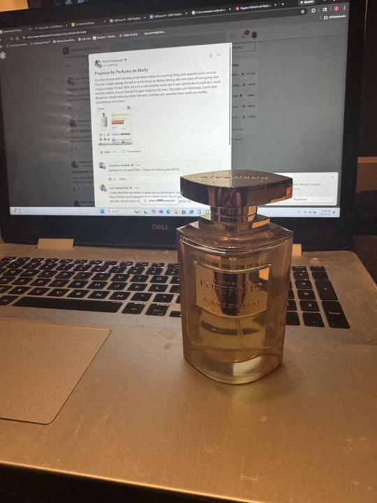 SOTD: PORTFOLIO ROYAL STALLION BY AL HARAMAIN