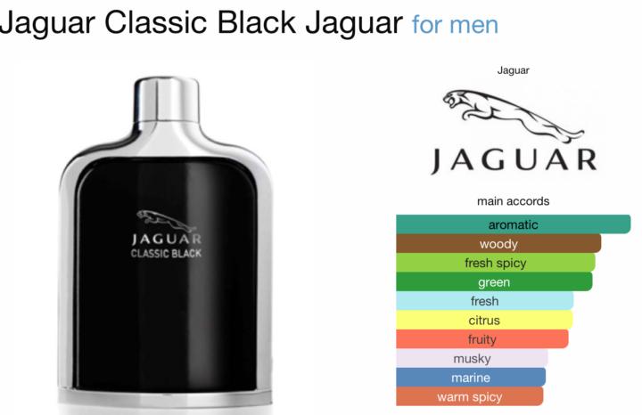 SOTD: Classic Black Jaguar 