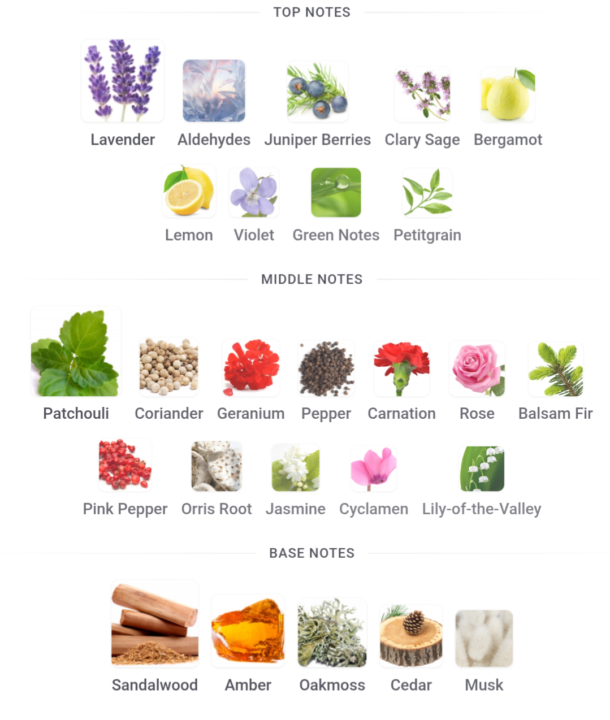 Can you guess the fragrance based on the review and notes?