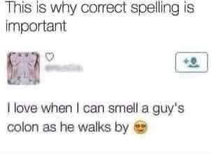 Spelling 