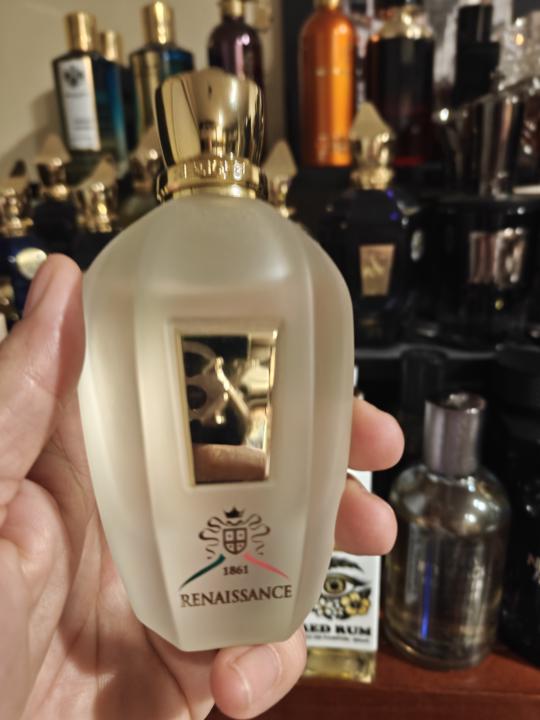 SOTF 🤞 - Renaissance 