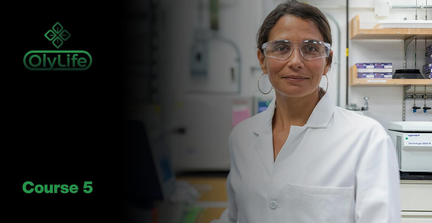 Other Tech Explained