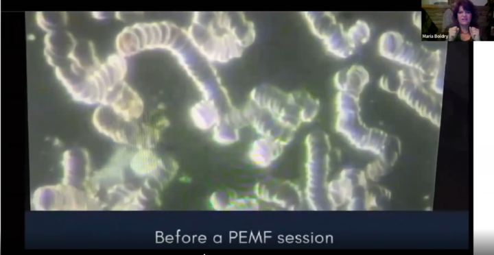 Maria Boldry Training Video