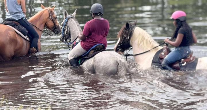 King's Riding Academy