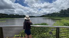 Brenda Holanda