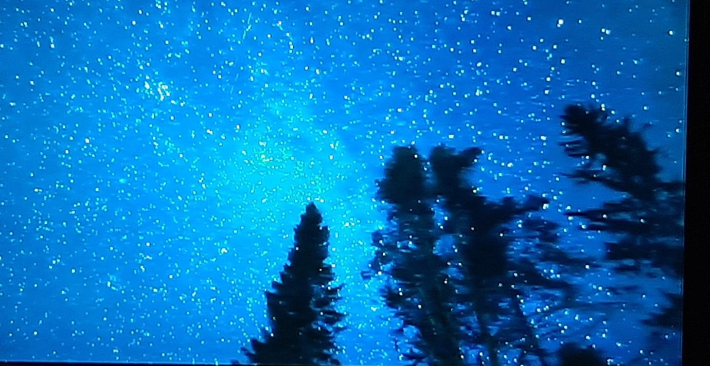 Willkommen, Wegweiser & Video