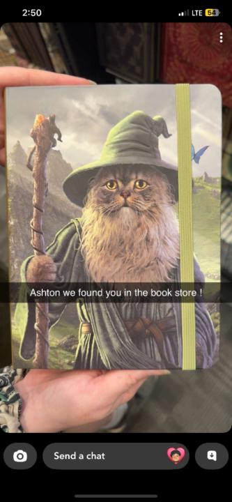 Ashton Johnson
