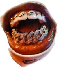 Pablo michel Campero