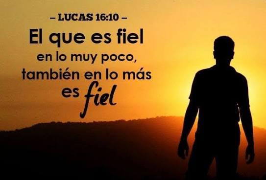 Día#8📖✝️ En lo poco y en lo mucho 