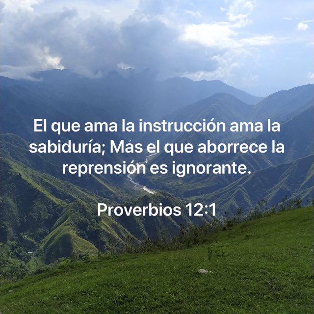 Día#12📖✨🫶 Proverbios 12:1 
