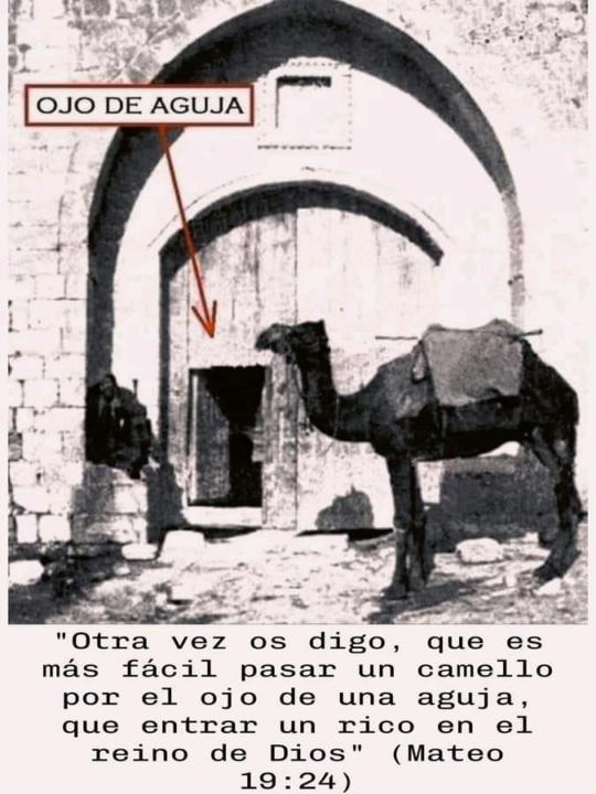 Despojado de cargas para seguir a cristo 