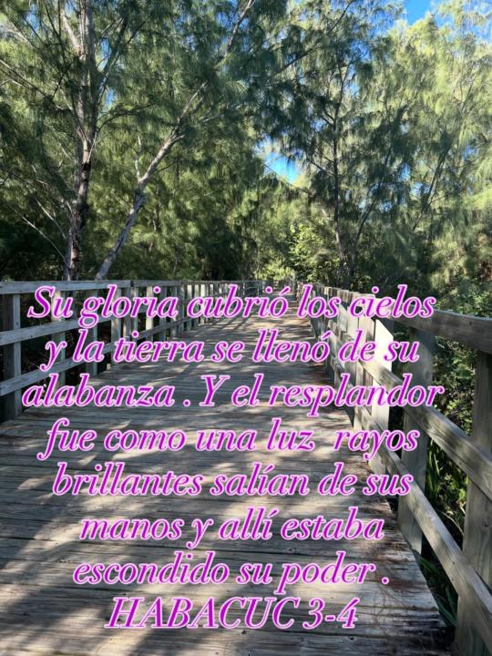 Habacuc 3:4 ✨✨✨✨