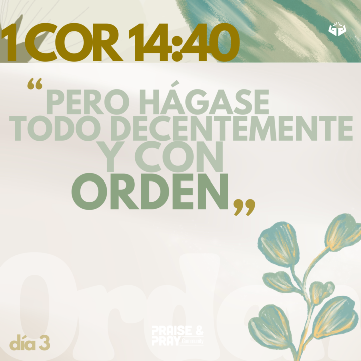 Todo en orden 📖🌿  | 3 feb |