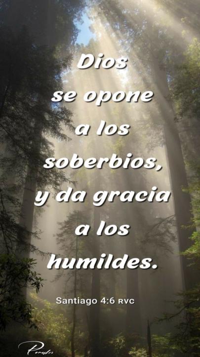 Día 8 LA VERDADERA GRANDEZA🤍‼️🧭