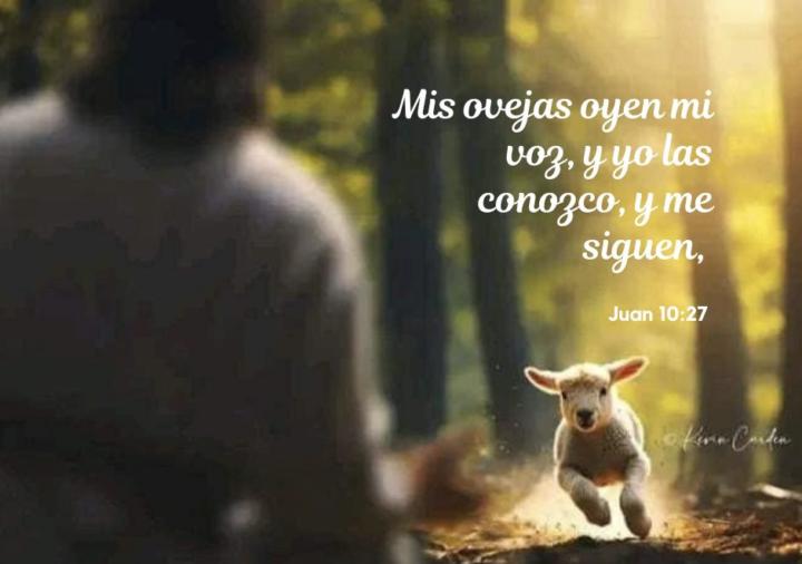 Juan 10:27