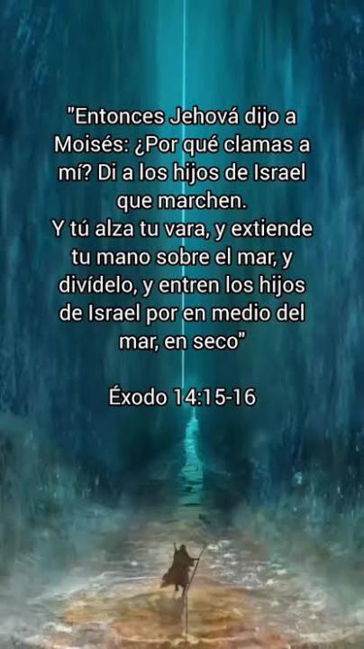 Día 7 SELAH ‼️✨🤍