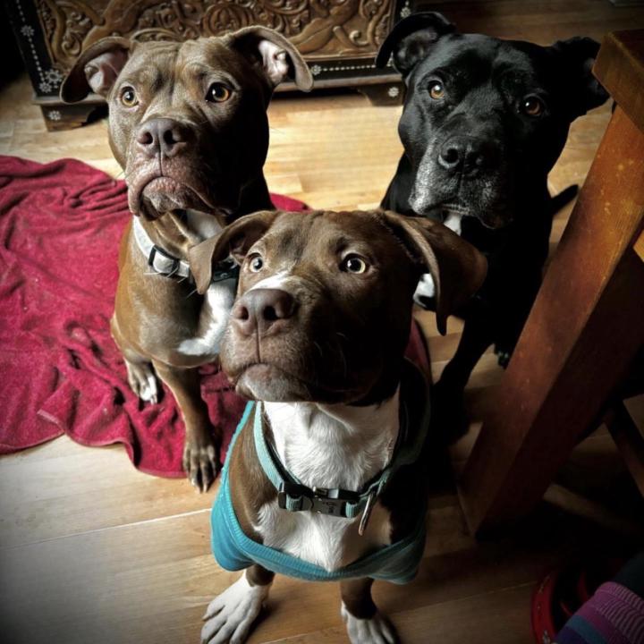 Hey , we are new to skool after joining just 3 days ago ! 