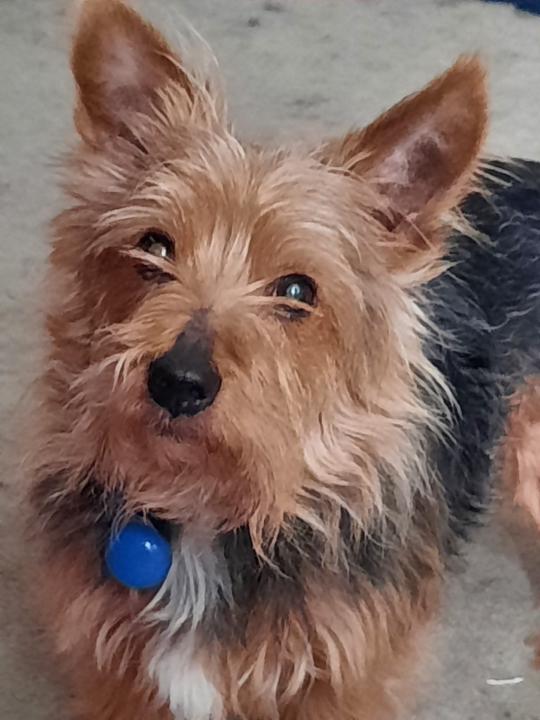 Thanks for accepting