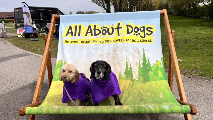 Dressing your dogs - good or bad??