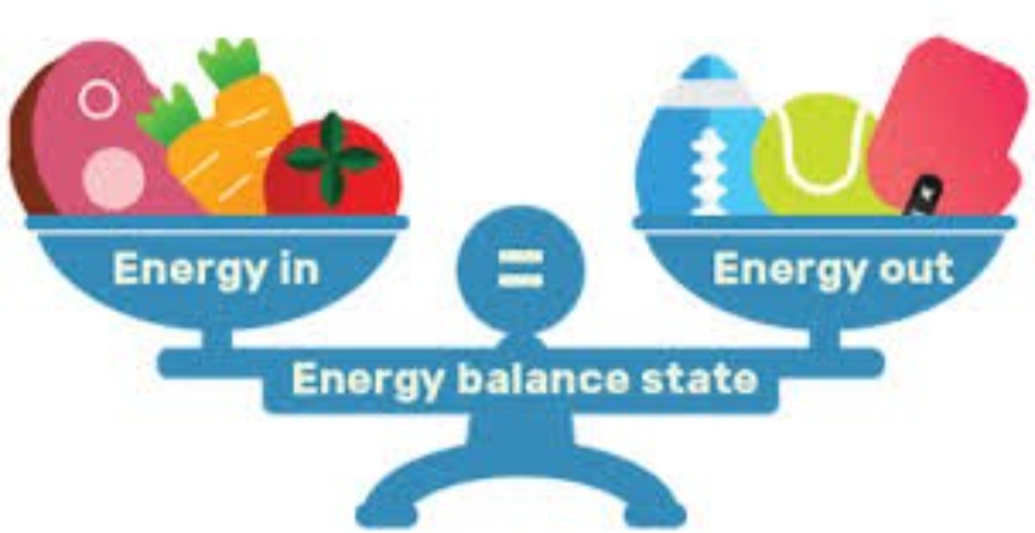 Nutrition - UNDER CONSTRUCTION