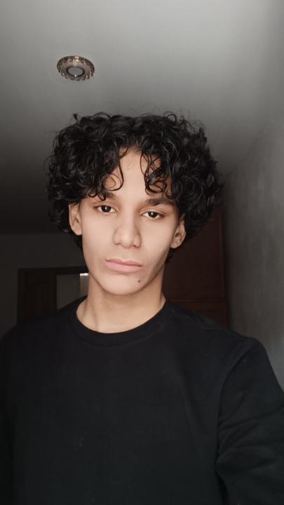 Anes Laib