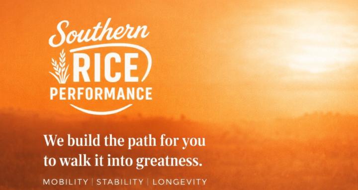 Southern Rice Performance