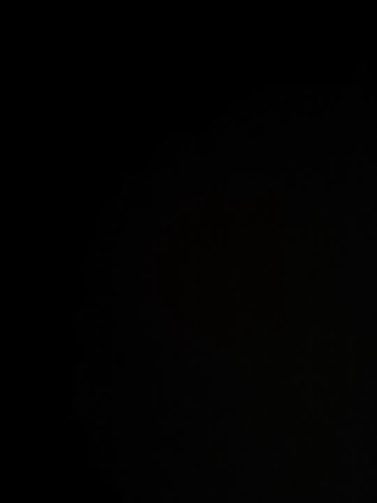 W P