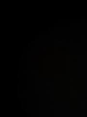 W P