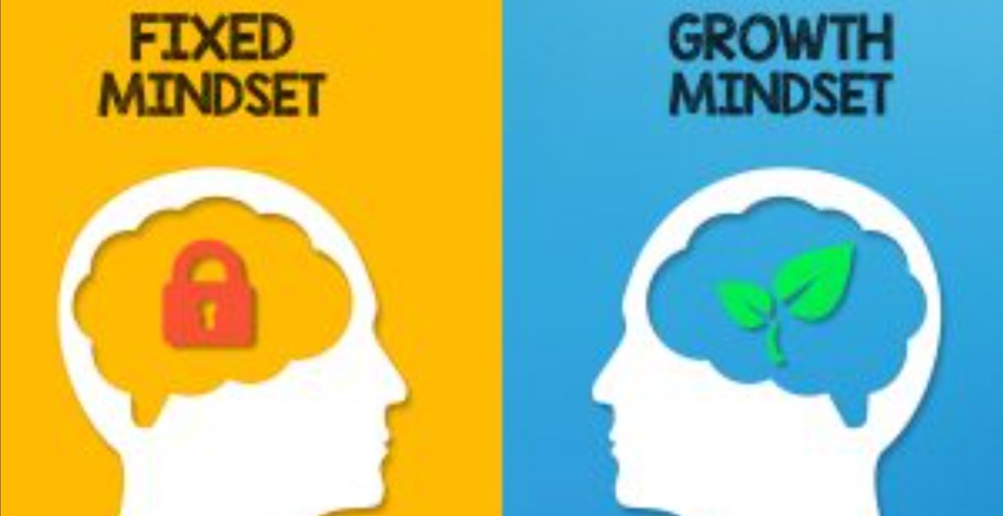 Growth Mindset VS Fixed Mindset