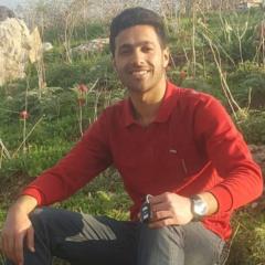 Ahmad Hasan Alshwayat