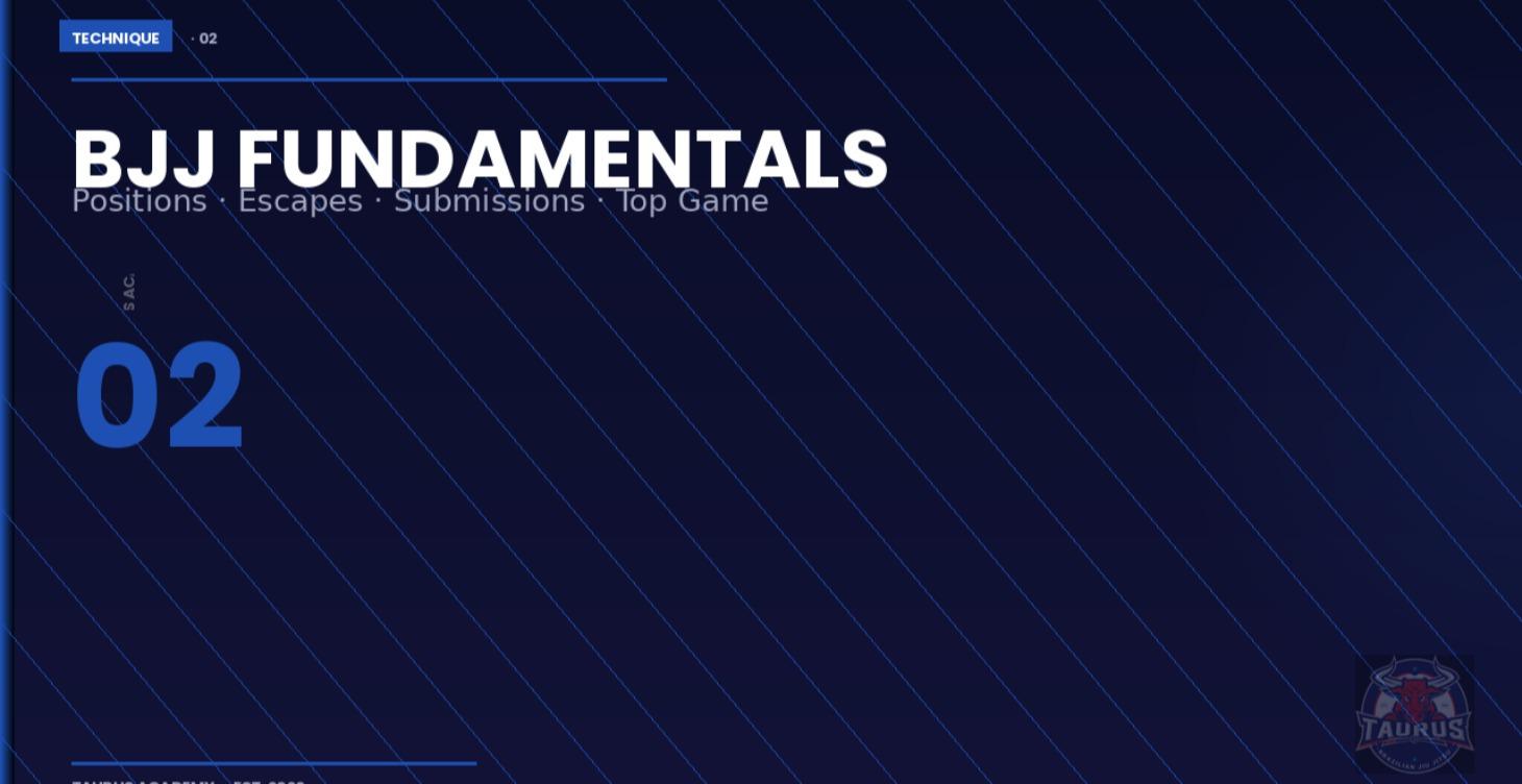 BJJ Fundamentals