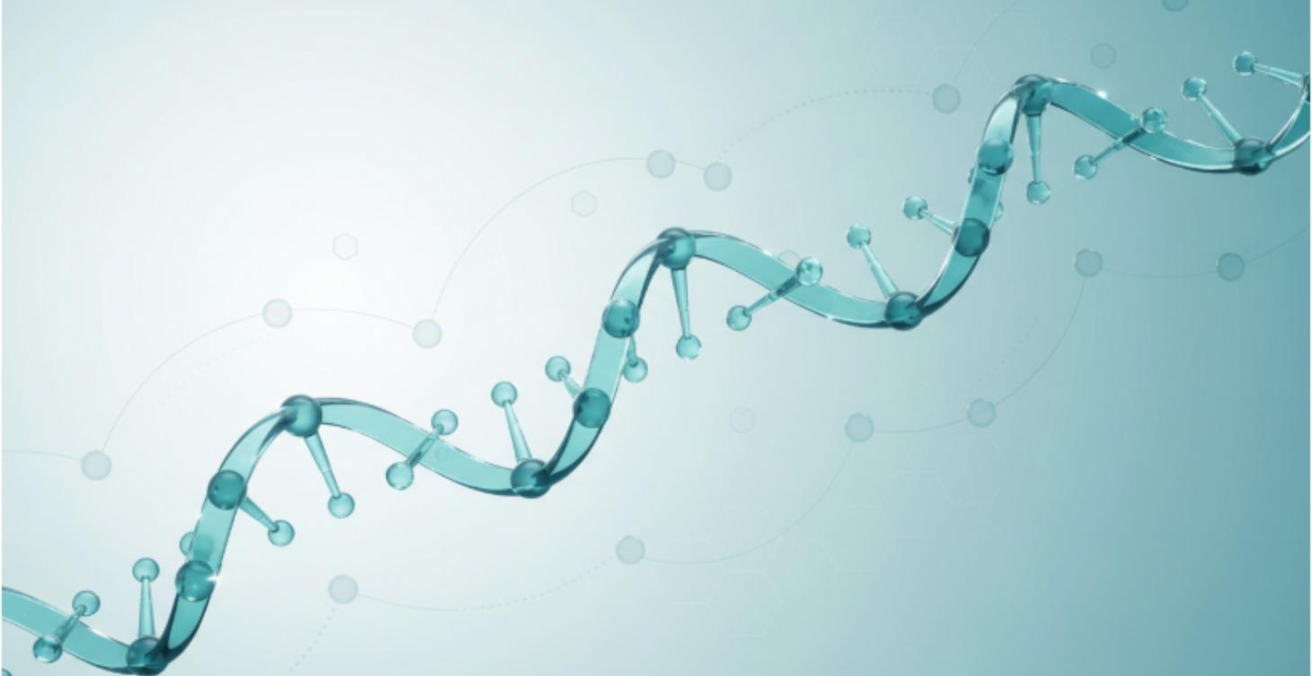 Popular Peptide Stacks