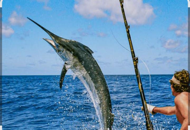 Deep sea fishing trip