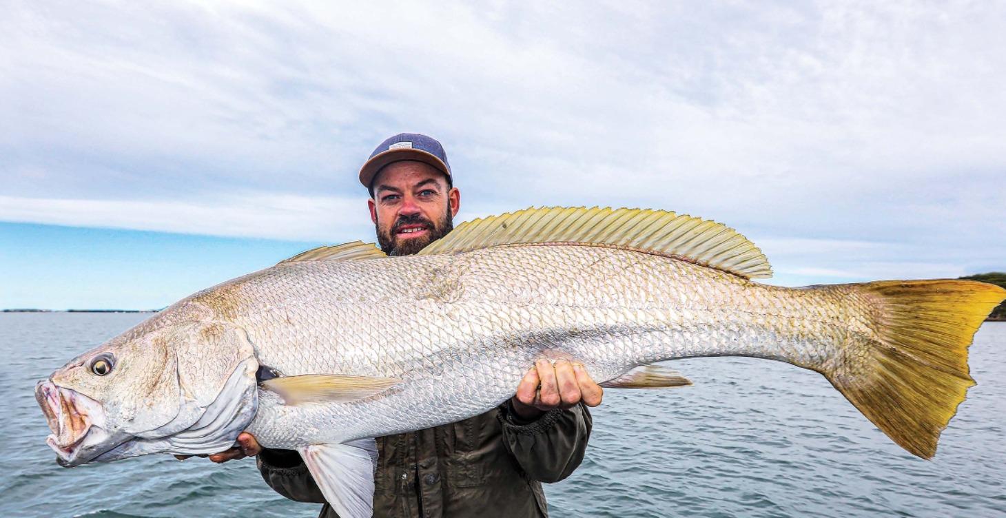 Catching Mulloway