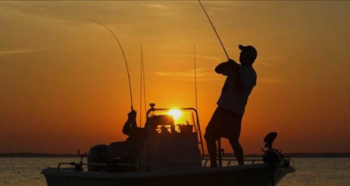 Fishing101 for beginners 