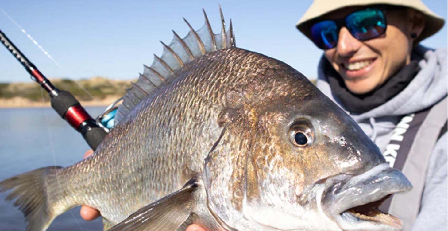 How to catch Black Bream.