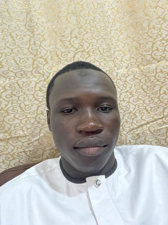 Al amine Goudiaby