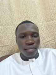 Al amine Goudiaby
