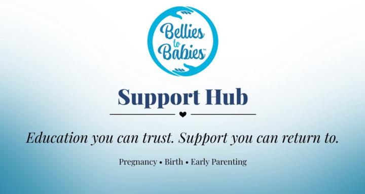 Bellies to Babies Support Hub