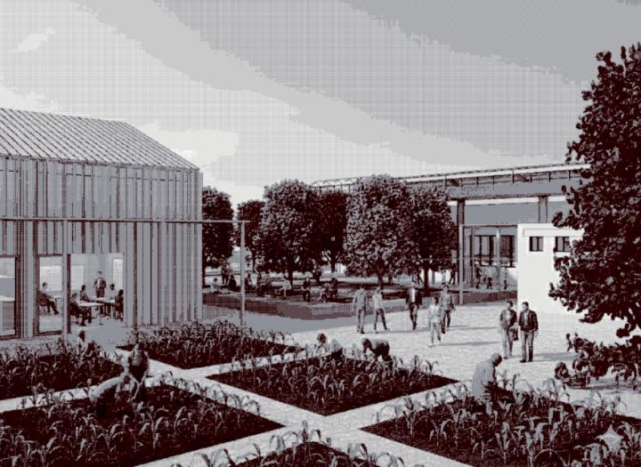 Franco Basuari Alcántara