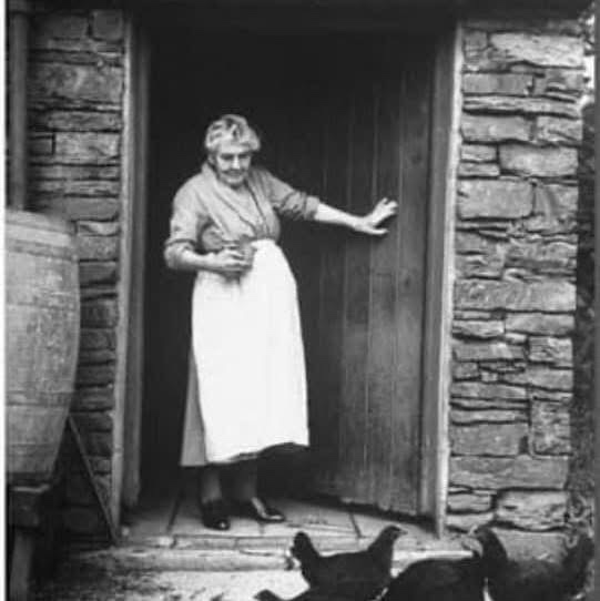 Suzanne Wallace