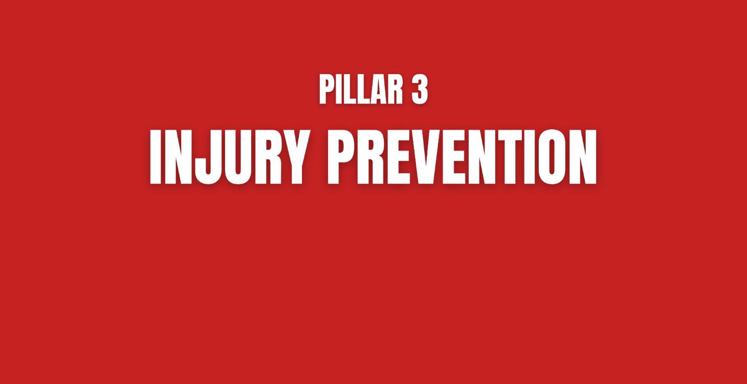Pillar 3