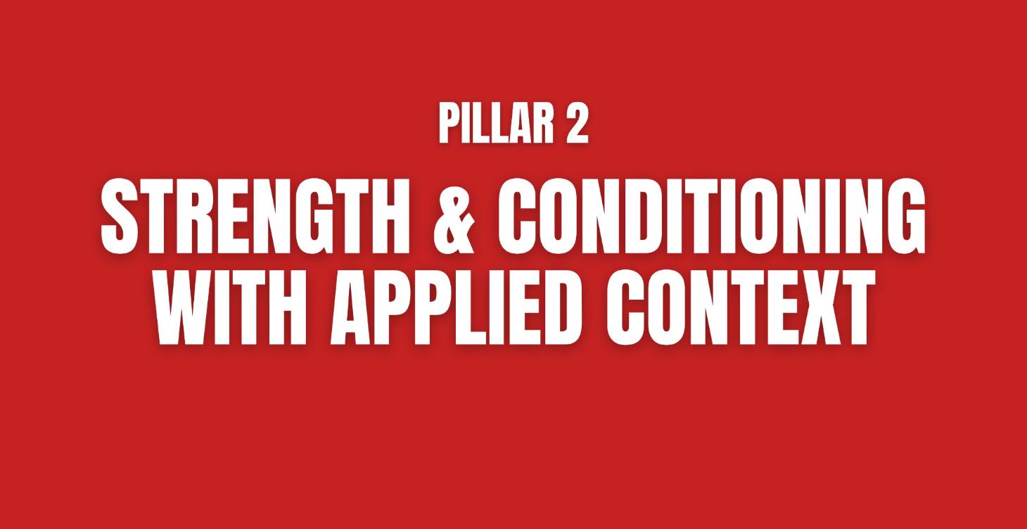 Pillar 2