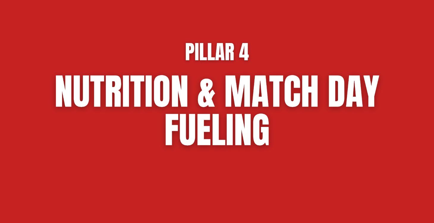 Pillar 4